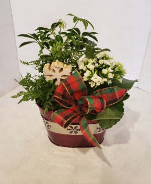 Christmas Tin Red Plants