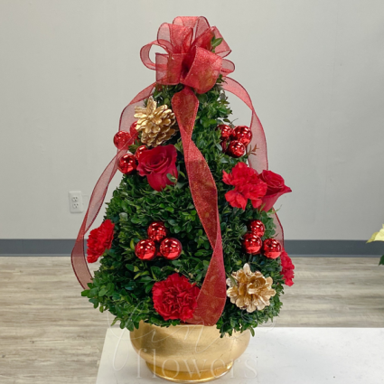 Christmas Traditions Boxwood Tree