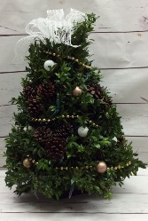 Christmas Traditions Decorated Boxwood Tree Can be shipped local or UPS Starting 11/28/2022