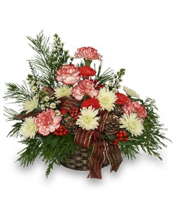 Christmas Traditions Long lasting Greens and Blooms in Gainesville, FL | PRANGE'S FLORIST