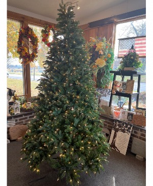 Christmas Tree 