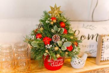 Christmas Tree fresh in Beloit, OH | American Flower Farm & Florist Christmas Tree fresh in Beloit, OH | American Flower Farm & Florist
