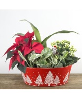 Christmas Tree Planter 