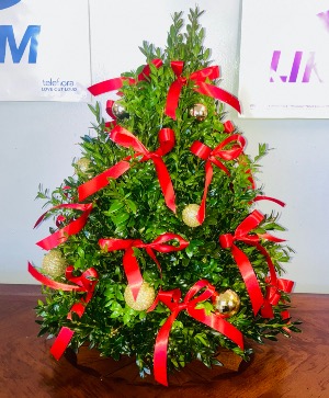 Christmas Tree Red Ribbons 