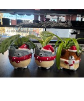 Christmas Tropical planter Planter