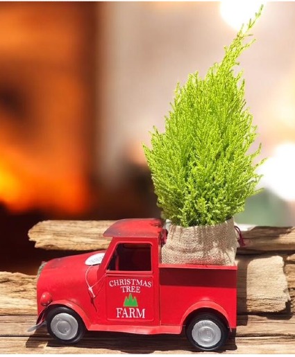 Christmas Truck with the tree Planter