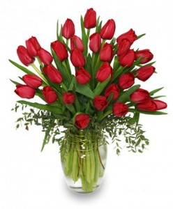             Romantic Tulips                    vased