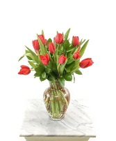 Christmas Tulips 