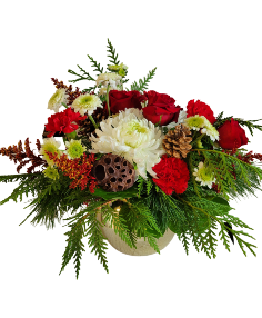 Category Image