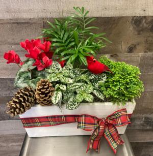 Christmas White Planter Box 