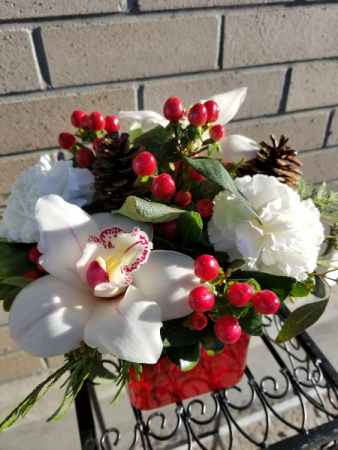 christmas with orchids