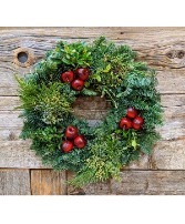 Christmas Wreath  PLANT