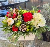 Christmastime Compact Arrangement