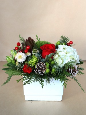 Christmastime Compact Arrangement