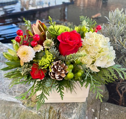 Christmastime Compact Arrangement