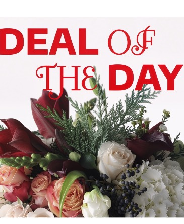 Christmax Designer Choice  BOUQUET in Toronto, ON | PERCY WATERS FLORIST