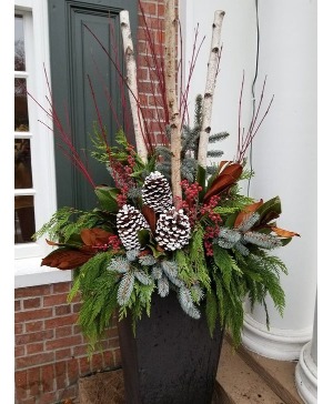 Christmax Planter  PLANT