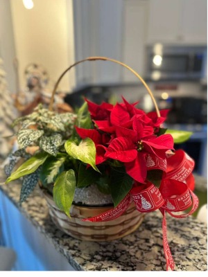 Chritsmas Basket Basket