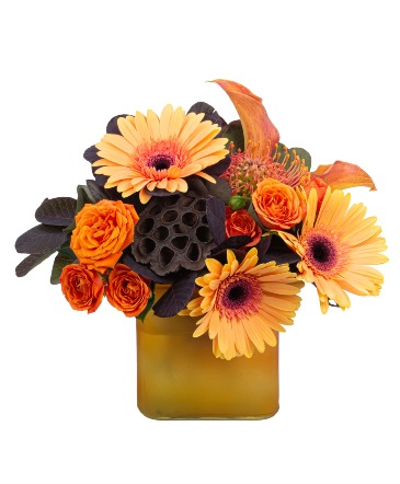 Cider Arrangement in Fort Smith, AR | EXPRESSIONS FLOWERS, LLC