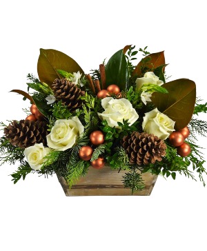 Cinnamon Spice and Everything Nice 