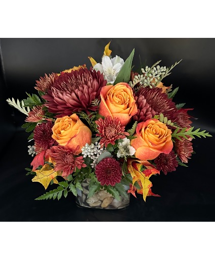 Cinnamon Sunset Cube arrangement