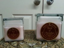 Circle E Candles in Bird of Paradise scent gift