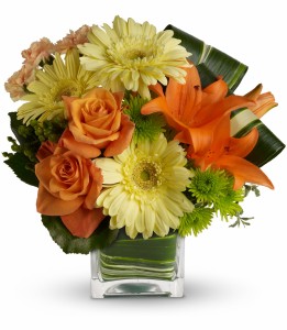 Citrus Crush