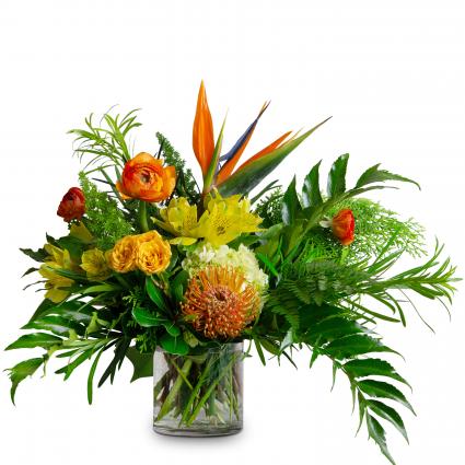 Citrus Sherbet Arrangement