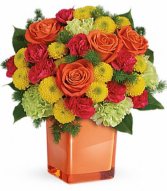 Citrus Smiles  Arrangement