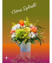 Citrus Splash Arrangement