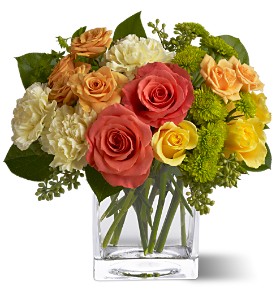 Citrus Splash  TFWEB418   in Fort Worth, TX | DAVIS FLORAL DESIGNS