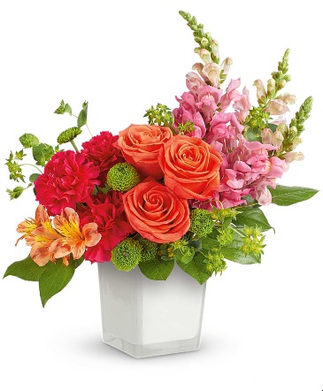 Citrus Sunset TEV75-5 in Rossville, GA | Ensign The Florist