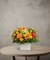 Citrus & Sunshine Rustic Box