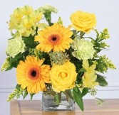 Citrus Symphony Floral Arrangement