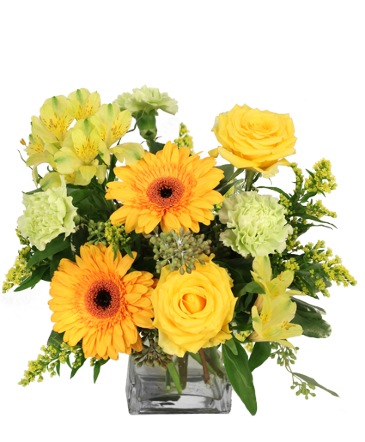 Citrus Symphony Floral Arrangement in Sandusky, OH | BAILEY'S BUDS 'N BLOOMS