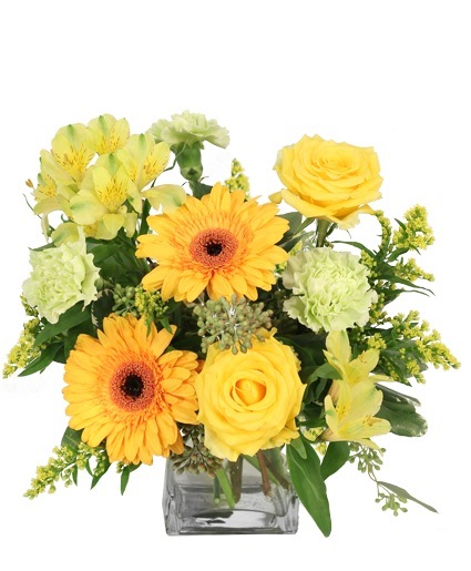 Citrus Symphony Floral Arrangement