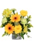 Citrus Symphony Floral Arrangement