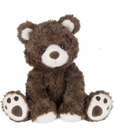 Clancy the Bear 
