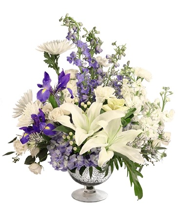 Clandestine Dreams Flower Arrangement in Newark, OH | JOHN EDWARD PRICE FLOWERS & GIFTS