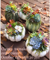 Class Oct. 11th and Oct. 22nd