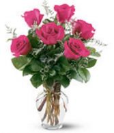 Classic 1/2 Dozen Summer Surprise Special