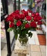 Classic 2 Dozen red  roses  