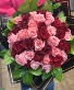 Classic 50 Rose Ramo Wrap  Choose Color