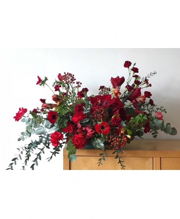 Classic   in Klamath Falls, OR | Yarrow in Bloom