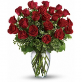 Classic Beauty Red roses