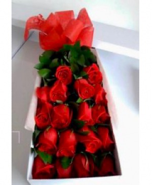 Classic Box of 24 Fine Roses 