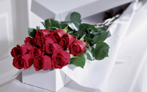 Classic boxed Roses Love in Whittier, CA | Rosemantico Flowers Classic boxed Roses Love in Whittier, CA | Rosemantico Flowers