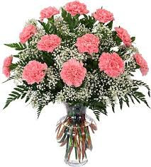 Classic Carnations Carnations Arrangement