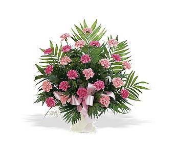 Classic Carnations Funeral Flowers