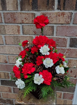 Classic Christmas of Carnations 